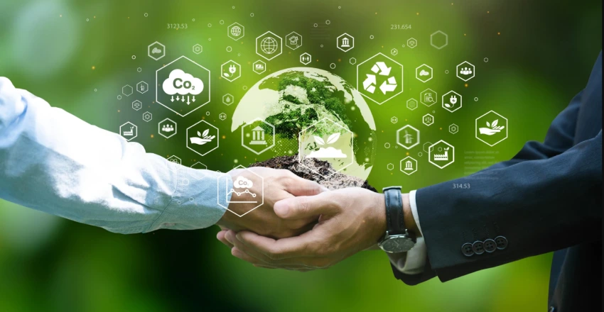 Carbon Emission Calculator for SMEs